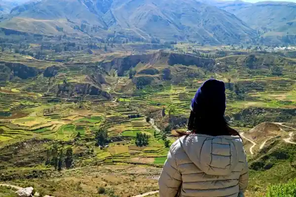 Colca Canyon Tour 2 days 1 night