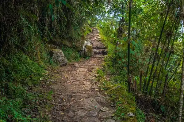 Part of the Inca Jungle Treck 4 days, 3 nights