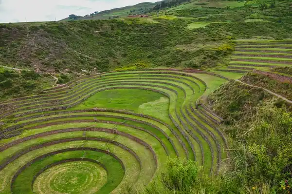 Moray