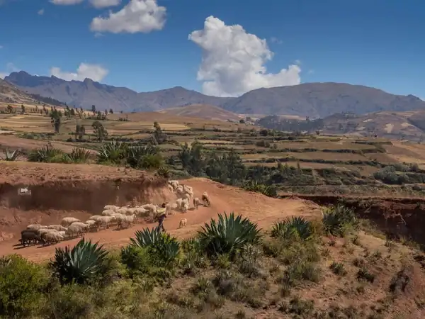 Biking Maras Moray 1 day