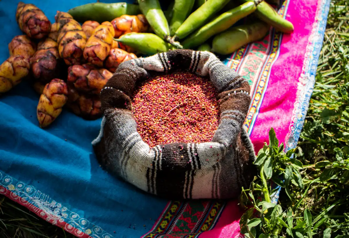 peruvian superfoods