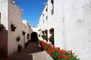 Arequipa tours shows you UNESCO World Heritage Historic Center