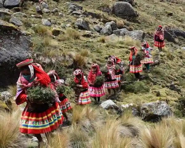 Queuña in Cusco