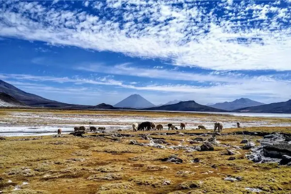 Imagen Arequipa tours 4