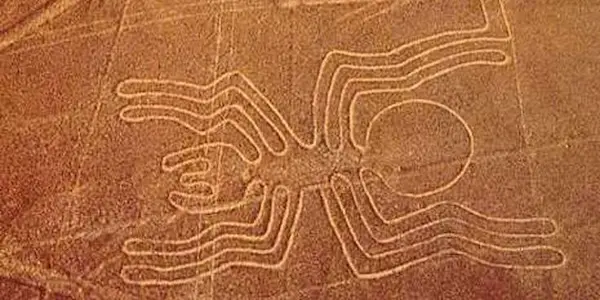 The Spider of the Nazca Lines