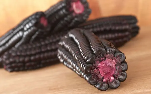 Purple Corn