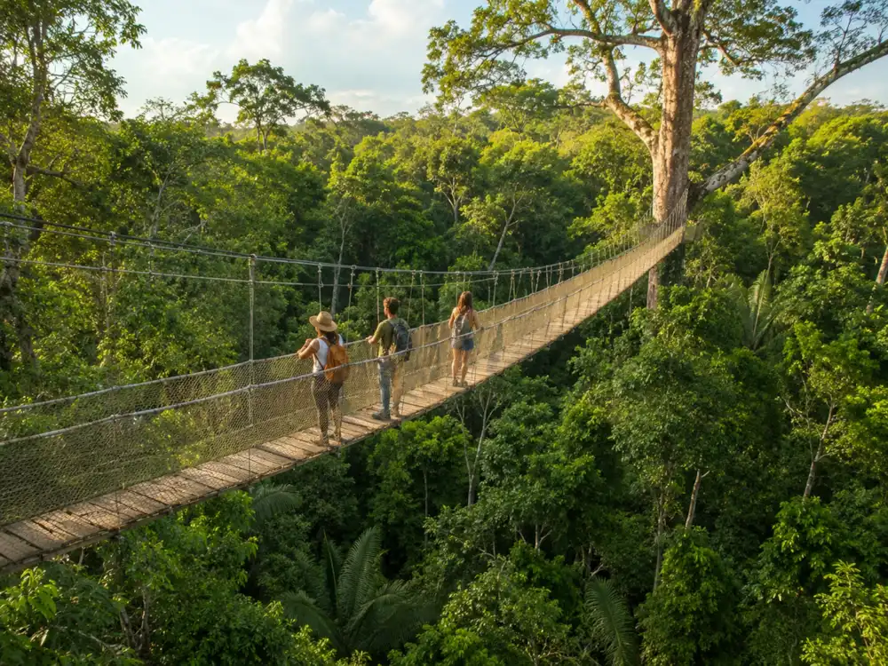 hanging bridges
