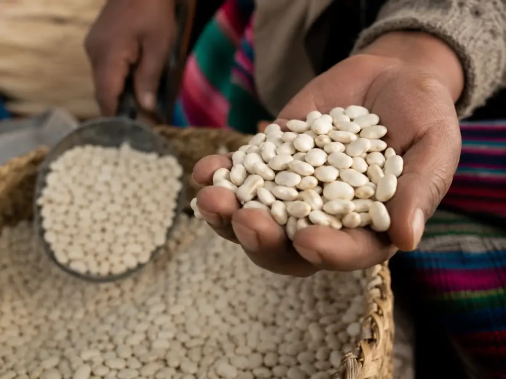 raw beans