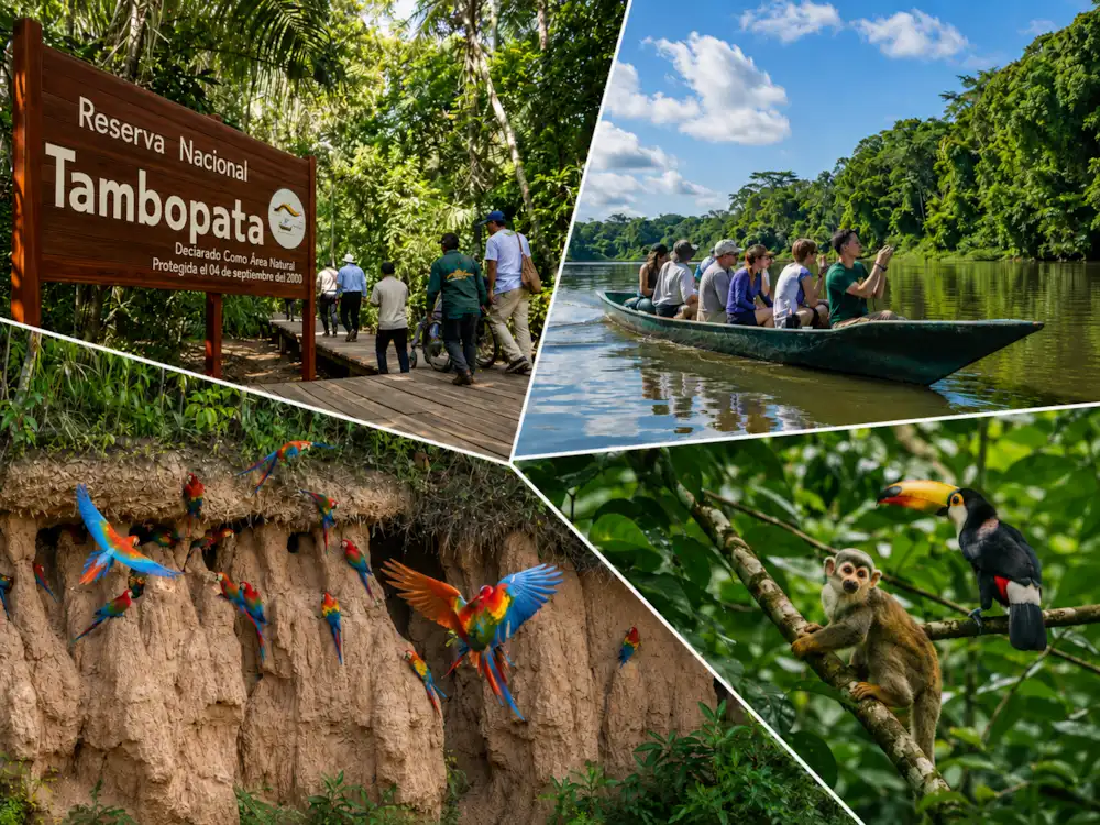 tambopata