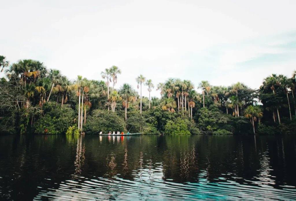 peruvian amazon