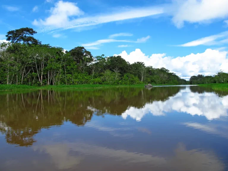 Tambopata tour 4 days 3 nights