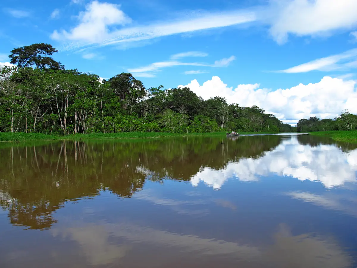 Tambopata tour 4 days 3 nights
