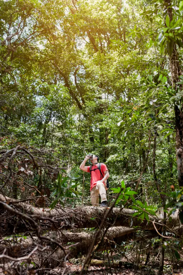 hiker in the jungle