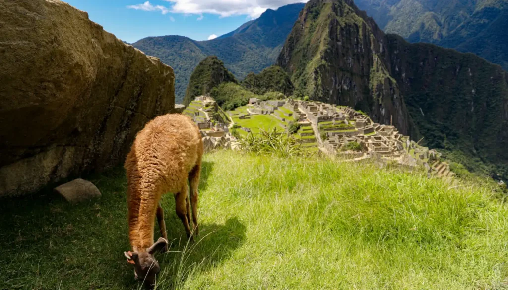 landscape of machu picchu
