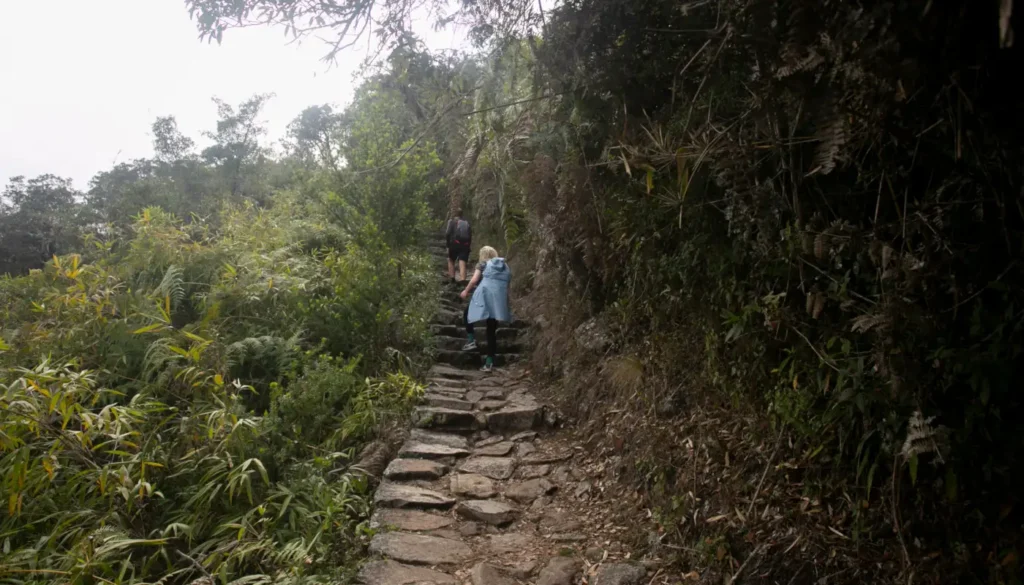 Hike to the city of Machu Picchu along the Inca Trail